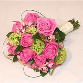 fwthumbPink and green.jpg